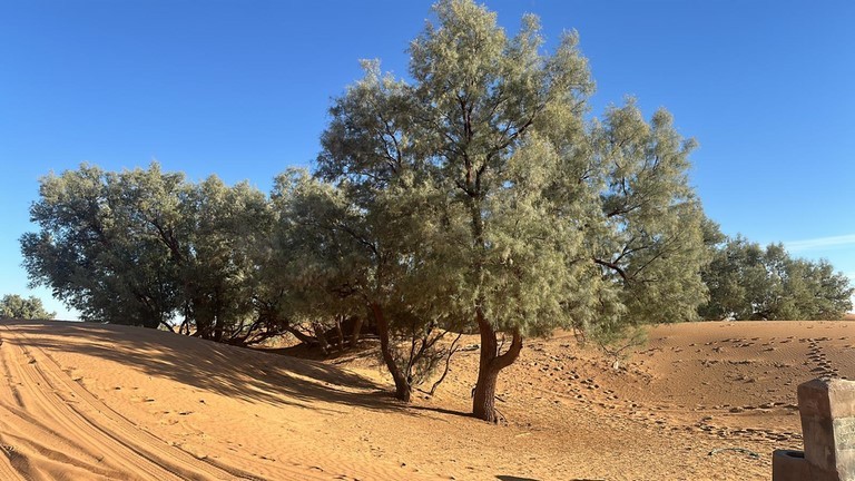 MUNIGA - Merzouga Maroc